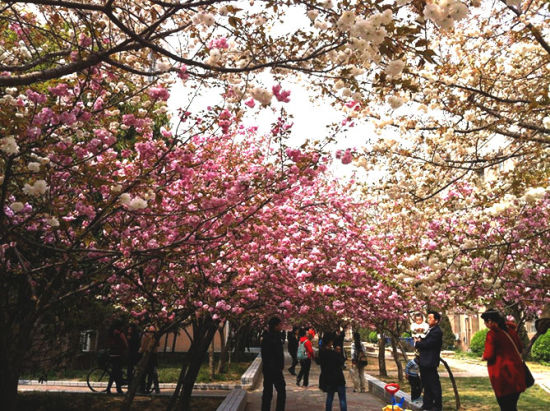 河南农业大学(图片来源于网络)