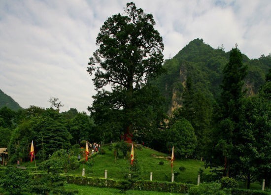 神龙架习俗 神龙架习俗